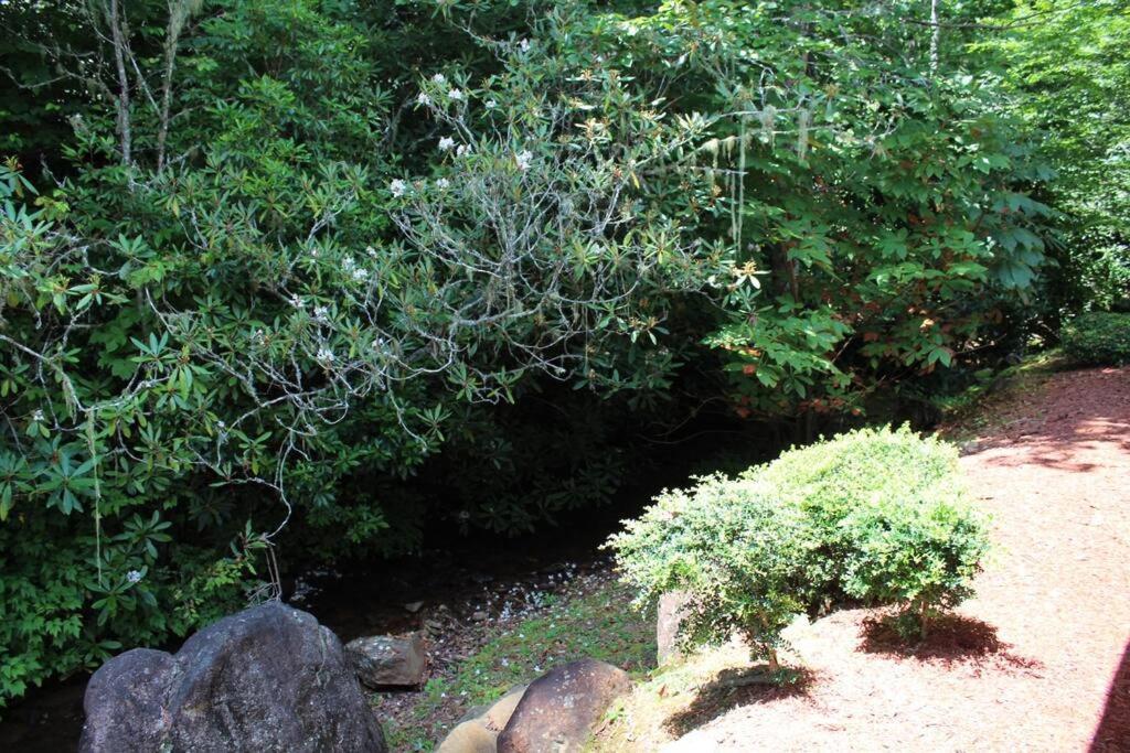 Creekside Gated Golf Mtn Villa W/Fast Wifi & Paved 프랭클린 외부 사진