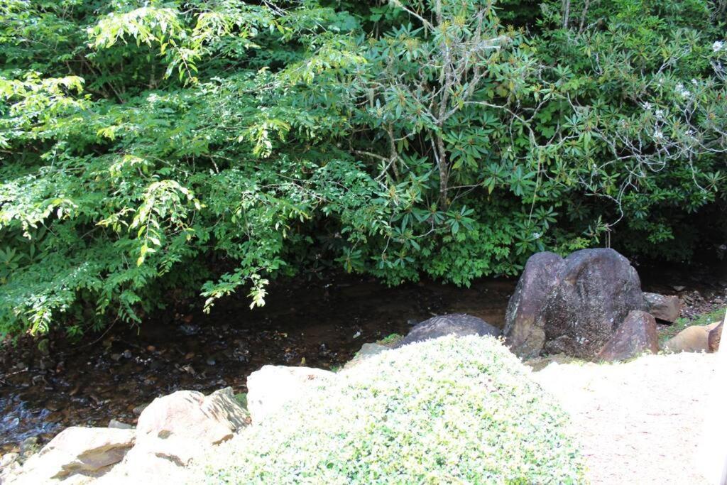 Creekside Gated Golf Mtn Villa W/Fast Wifi & Paved 프랭클린 외부 사진